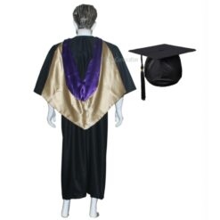 ''Purple and Golden V Shape Graduation Hood''>