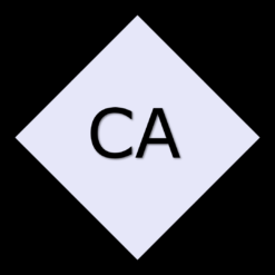 CA - Chartered Accountant